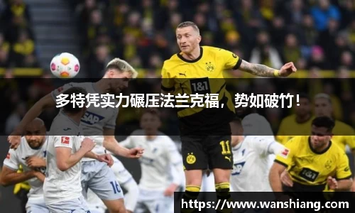 雷竞技官网网址