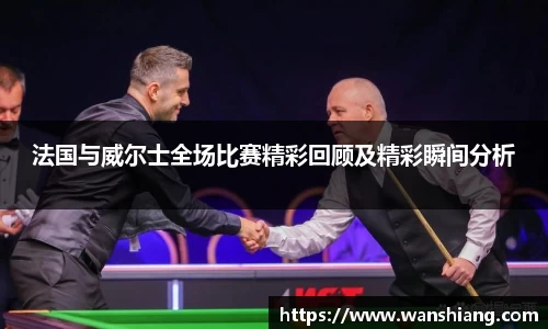 法国与威尔士全场比赛精彩回顾及精彩瞬间分析